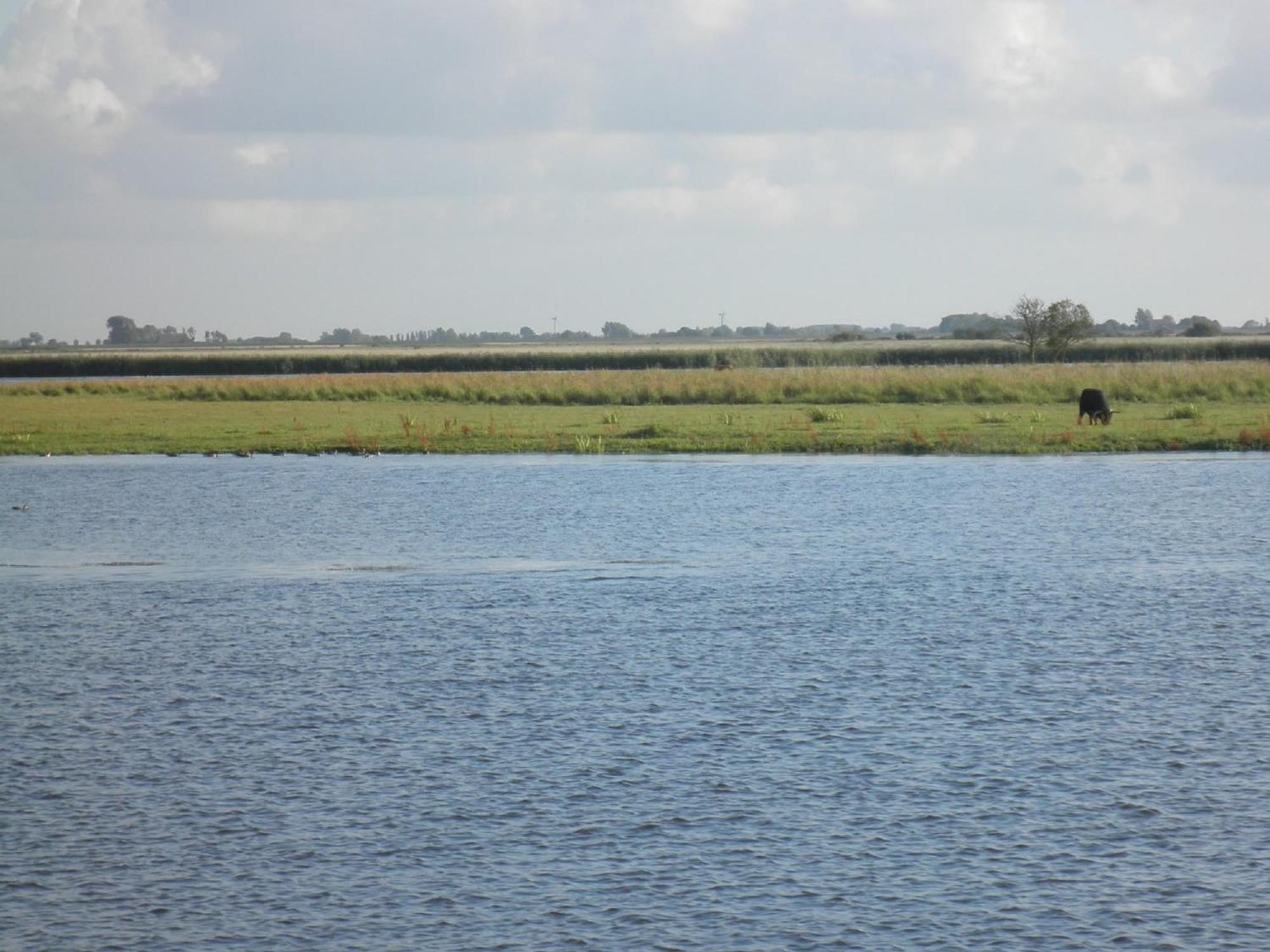 8 Pers House 'Capitein Theis' With Seaside In Front Of The Lauwersmeer Anjum Eksteriør billede